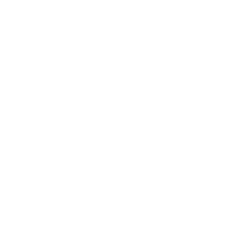 RiderSkin Logo